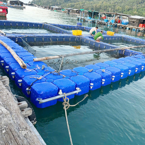 Phao nổi HDPE
