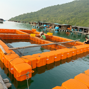 Phao Lồng Bè HDPE